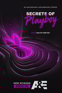 Picture of Secrets of Playboy
