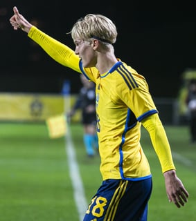 Picture of Lucas Bergvall