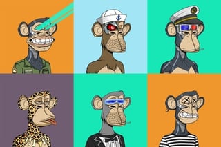Picture of Bored Ape
