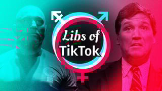 Picture of Libs of TikTok