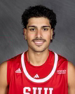 Picture of Parsa Fallah