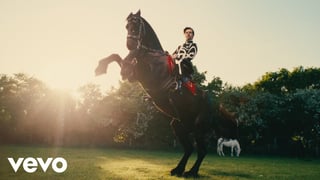 Picture of Daylight