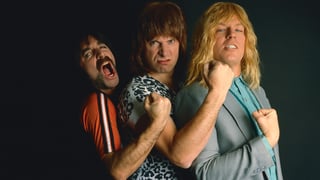 Picture of Spinal Tap II