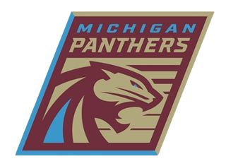 Picture of Michigan Panthers