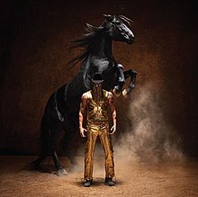 Picture of Bronco