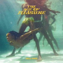 Picture of The Age of Pleasure