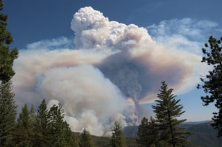 Picture of Mosquito Fire