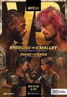 Picture of UFC 292