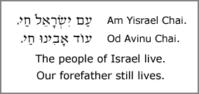 Picture of Am Yisrael Chai