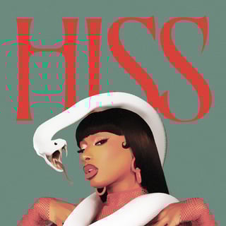 Picture of HISS