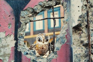 Picture of Porcelain War