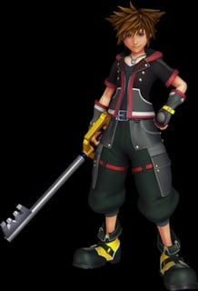 Picture of Sora