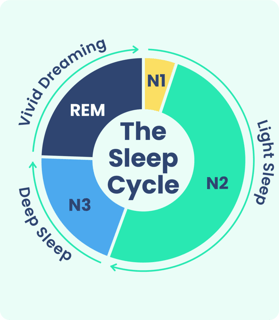 Picture of Sleep cycle