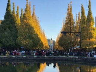 Picture of Meijijingu Gaien