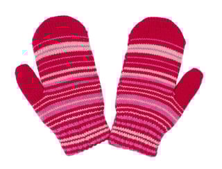Picture of Mitten