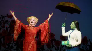 Picture of Madame Morrible