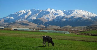 Picture of Mount Oshtoran