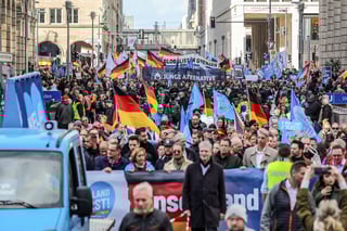 Picture of Young Alternative for Germany
