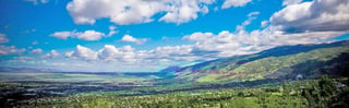 Picture of Bountiful