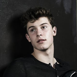 Picture of Shawn Mendes