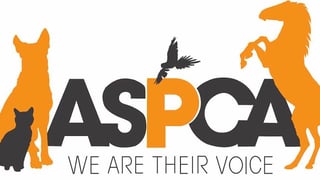 Picture of Society for the Prevention of Cruelty to Animals