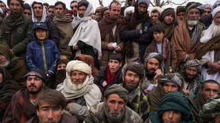 Picture of Afghans