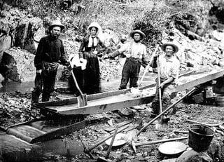 Picture of Gold rush
