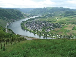 Picture of Moselle