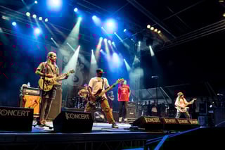 Picture of Turnstile