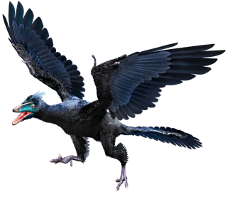 Picture of Archaeopteryx