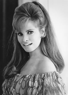 Picture of Raquel Welch