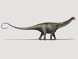 Picture of Brontosaurus