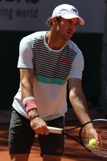 Picture of Tommy Paul
