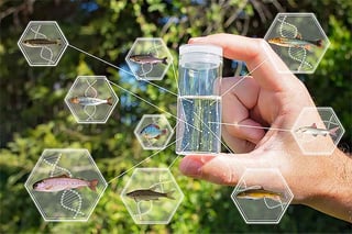 Picture of Environmental DNA
