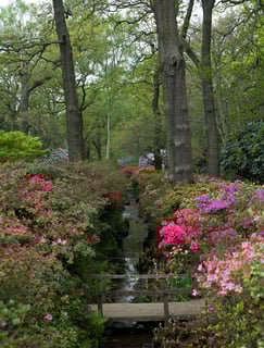 Picture of Richmond Park