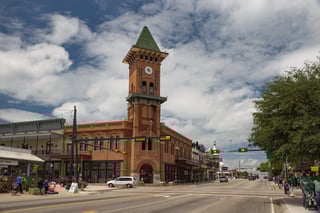 Picture of Grapevine