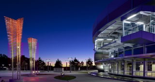 Picture of Mesquite