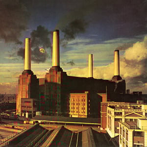 Picture of Animals