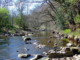 Picture of River Derwent