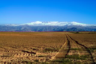 Picture of Sierra Nevada