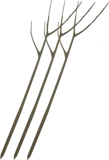 Picture of Twig