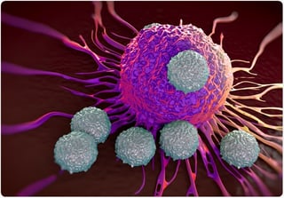 Picture of T-lymphocytes