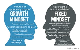 Picture of Mindset