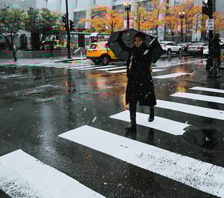 Picture of Pedestrian