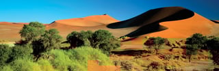 Picture of Namib Desert