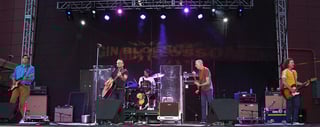 Picture of Gin Blossoms