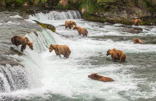 Picture of Katmai National Park and Preserve