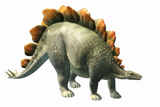 Picture of Stegosaurus