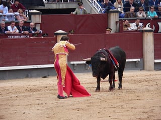 Picture of Bullfighting