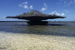 Picture of Aldabra